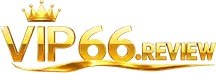 vip66.review