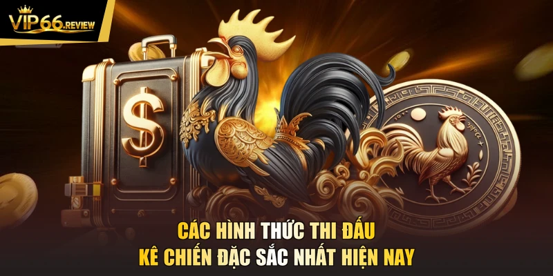 Các hình thức thi đấu kê chiến đặc sắc nhất hiện nay