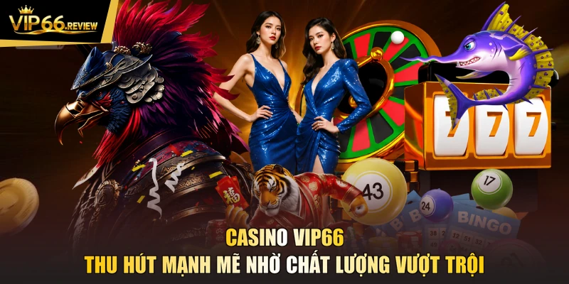 Casino VIP66 thu hút mạnh mẽ nhờ chất lượng vượt trội