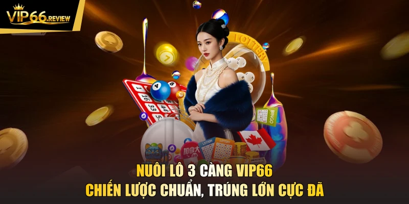 Nuôi Lô 3 Càng VIP66 - Chiến Lược Chuẩn, Trúng Lớn Cực Đã