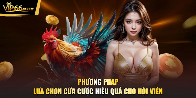 Phương pháp lựa chọn cửa cược hiệu quả cho hội viên