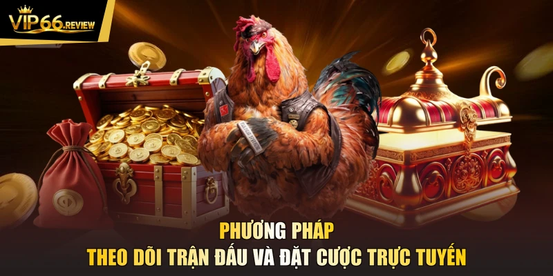Phương pháp theo dõi trận đấu và đặt cược trực tuyến