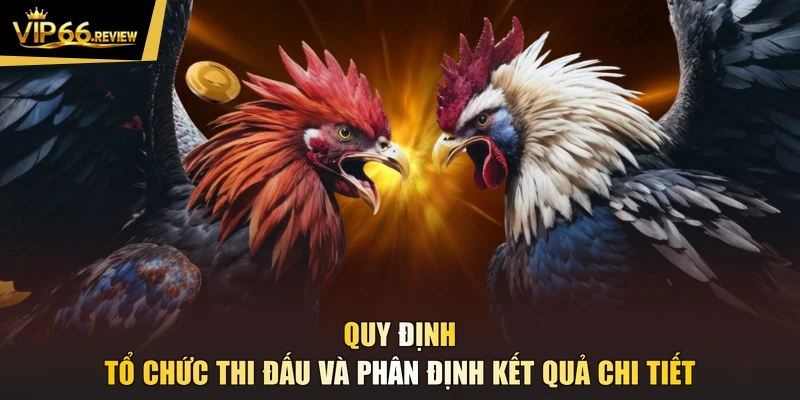 Quy định tổ chức thi đấu và phân định kết quả chi tiết