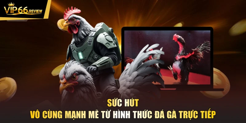 Sức hút vô cùng mạnh mẽ từ hình thức đá gà trực tiếp