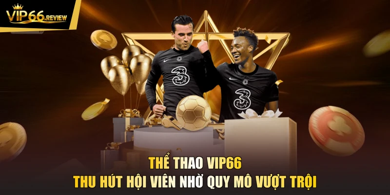 Thể thao VIP66 thu hút hội viên nhờ quy mô vượt trội