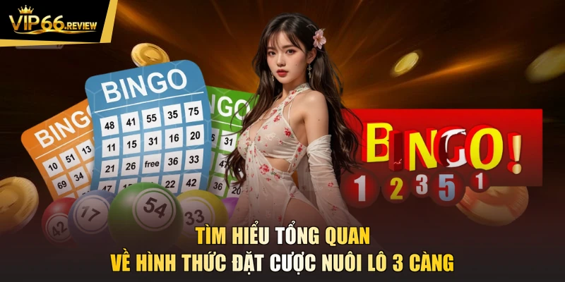 Tìm hiểu tổng quan về hình thức đặt cược nuôi lô 3 càng