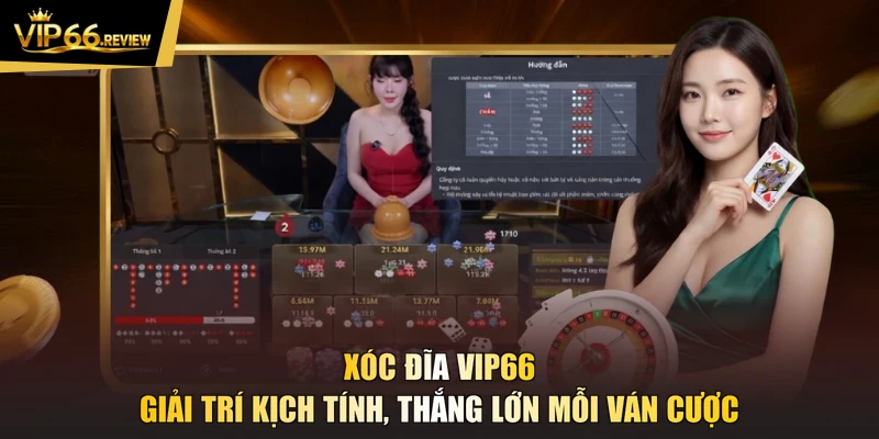 Xóc Đĩa VIP66 - Giải Trí Kịch Tính, Thắng Lớn Mỗi Ván Cược